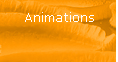 Animation