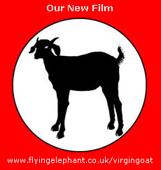 Virgin Goat